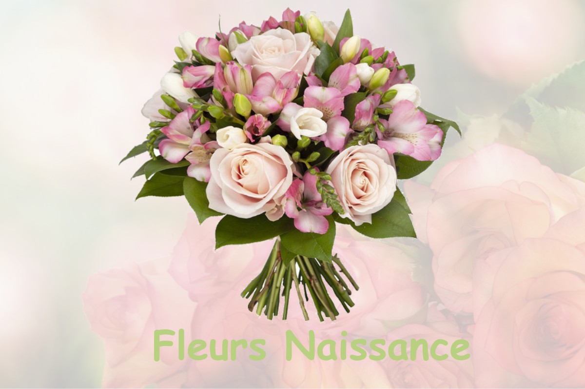 fleurs naissance BOSSAY-SUR-CLAISE